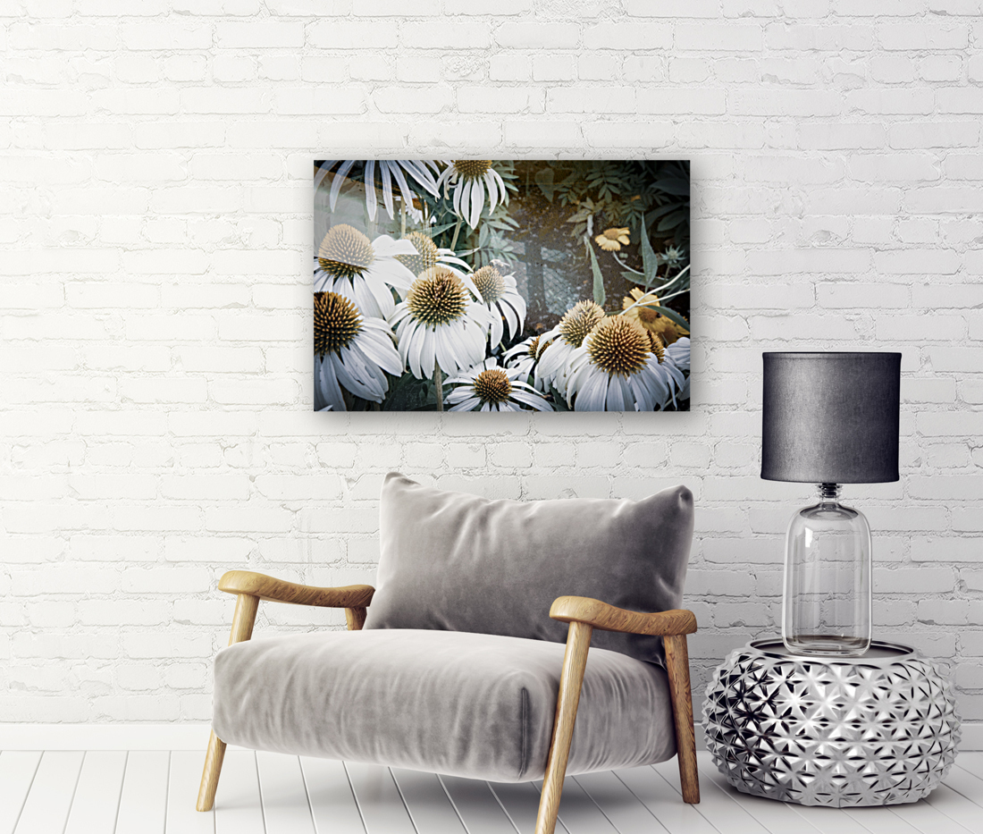 Splendeur botanique : Champs de fleurs dEchinace capture en macro avec une touche de desaturation Reproduction