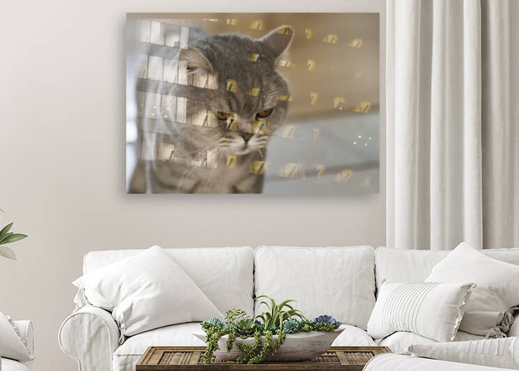 Mon Chat et moi by Melissa Lefebvre