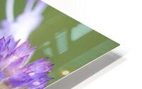 Macro Abeille incroyable HD Metal print