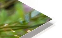 Fleurs eponge: Lelegance saisissante en macro HD Metal print