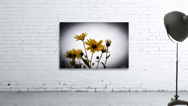 Decorative wall flowers Wall Preview