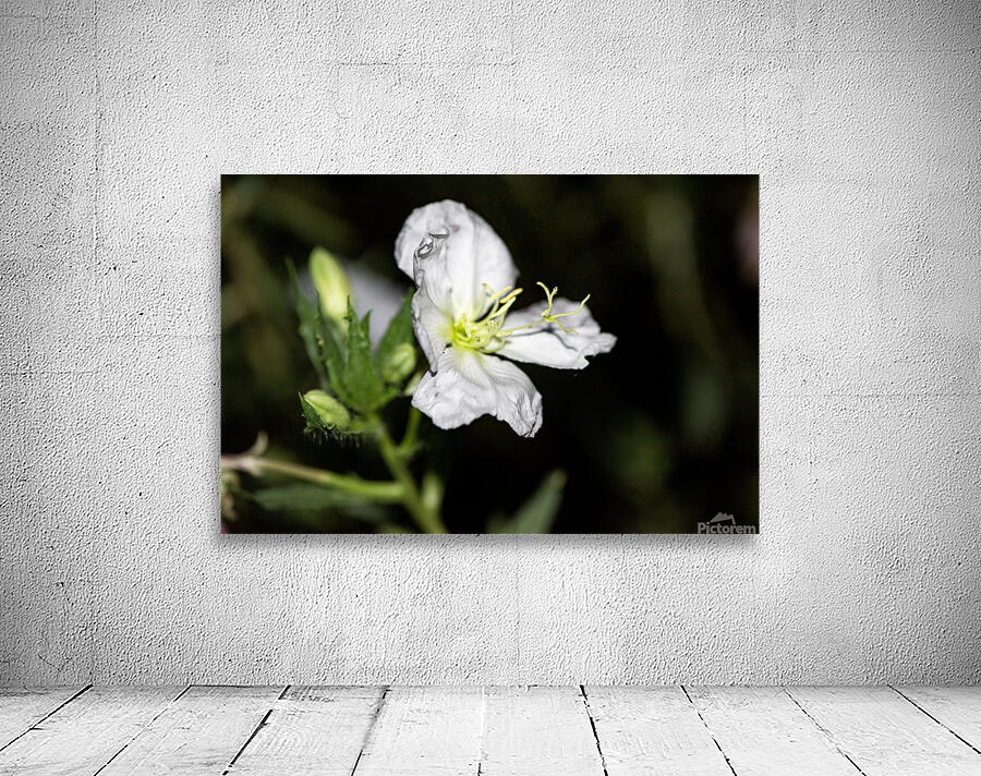 Fleurs power Wall Preview