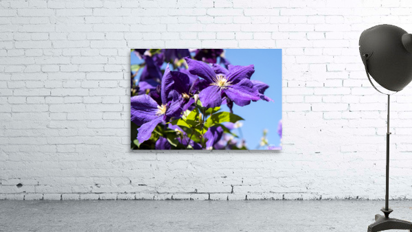 Fleurs du printemps Wall Preview