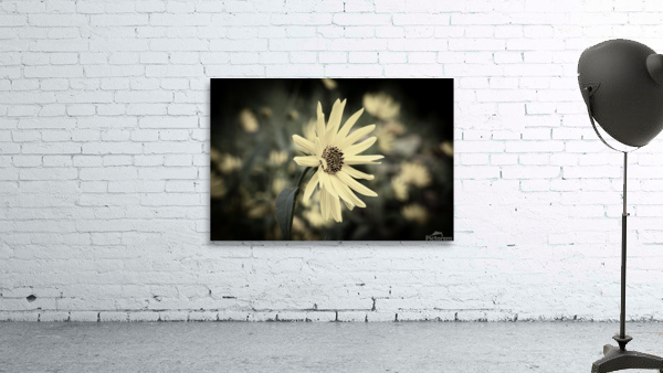 Decorative fleurs dete Wall Preview