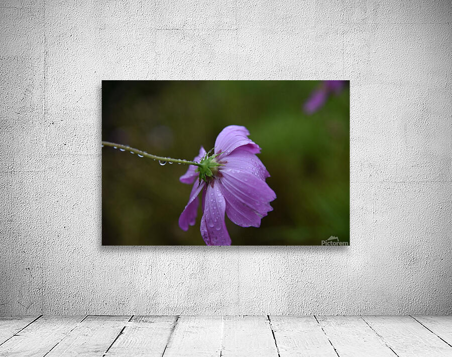 Fleurs qui pleure Wall Preview