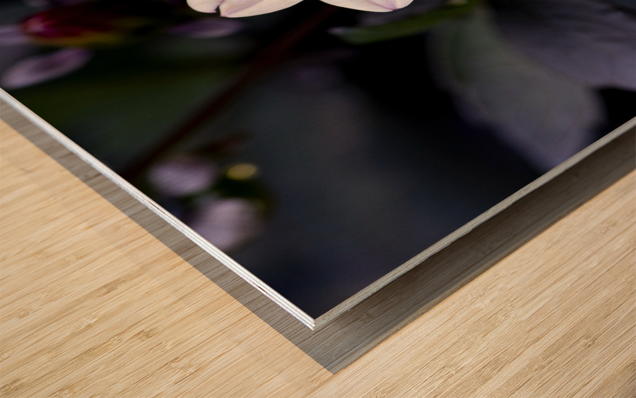 Fleur naturel Wood print