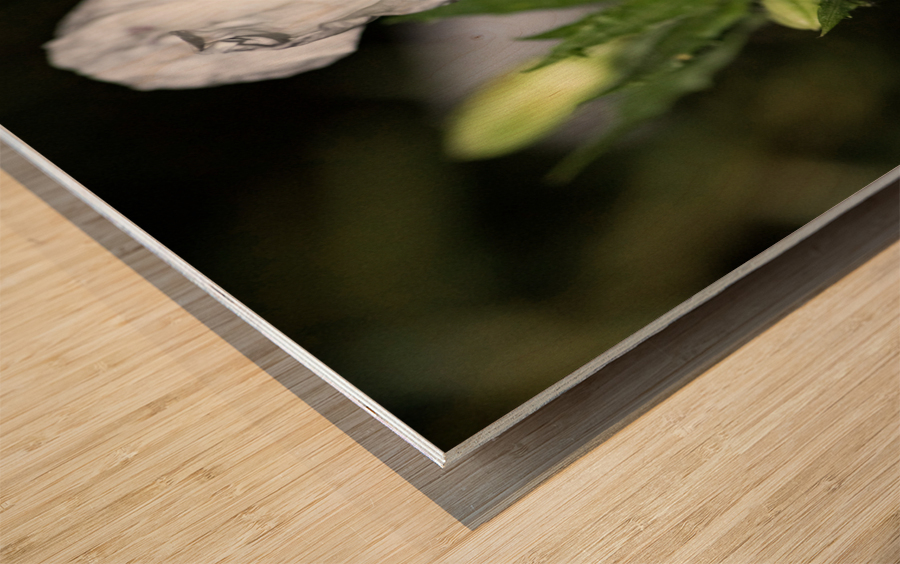 Fleurs power Wood print