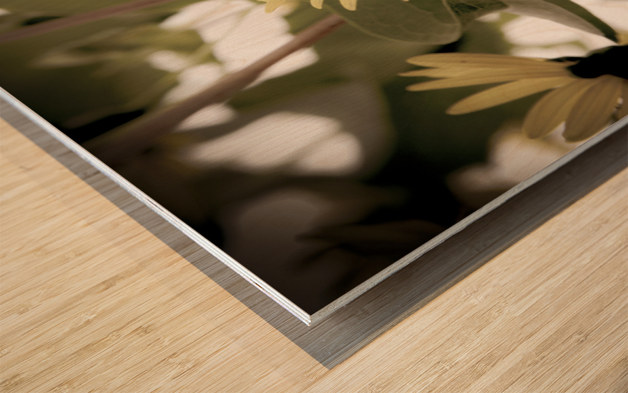 Nature reinventee : Decouvrez le tournesol en macro desature  Wood print