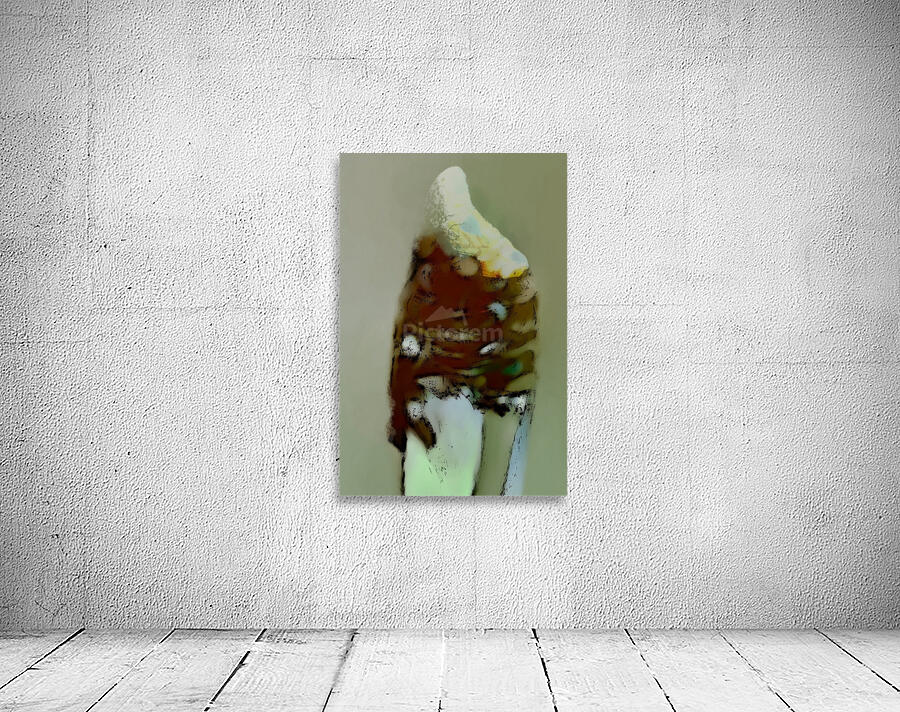 L’ETranger Wall Preview