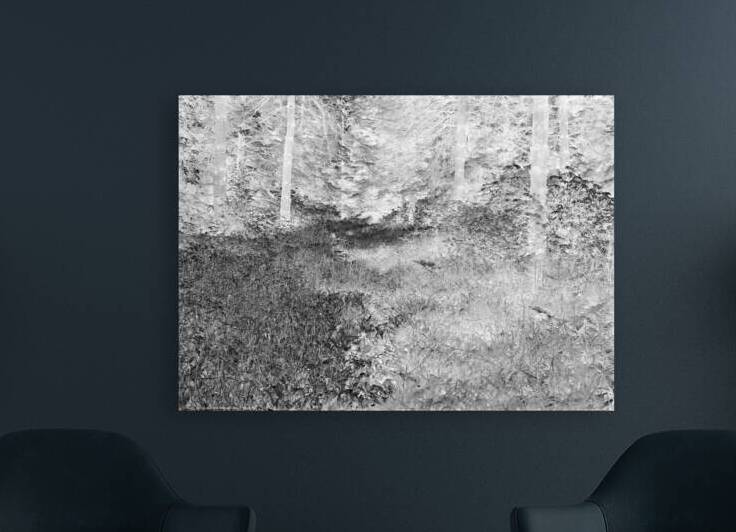 Lux obscura 1 XXI Arboretum Montreal 2007 by Jean Grothe artiste photographe
