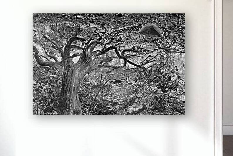 Lux obscura 2 XXXIX  «Sauve qui peut»  «Run for your life» »  Coaticook QC 2011 by Jean Grothe artiste photographe