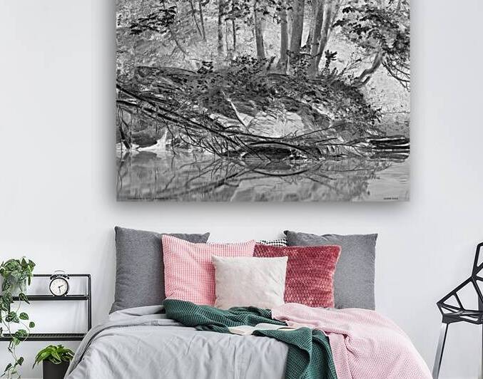 Lux obscura 2 XVIII Coaticook QC 2011 by Jean Grothe artiste photographe