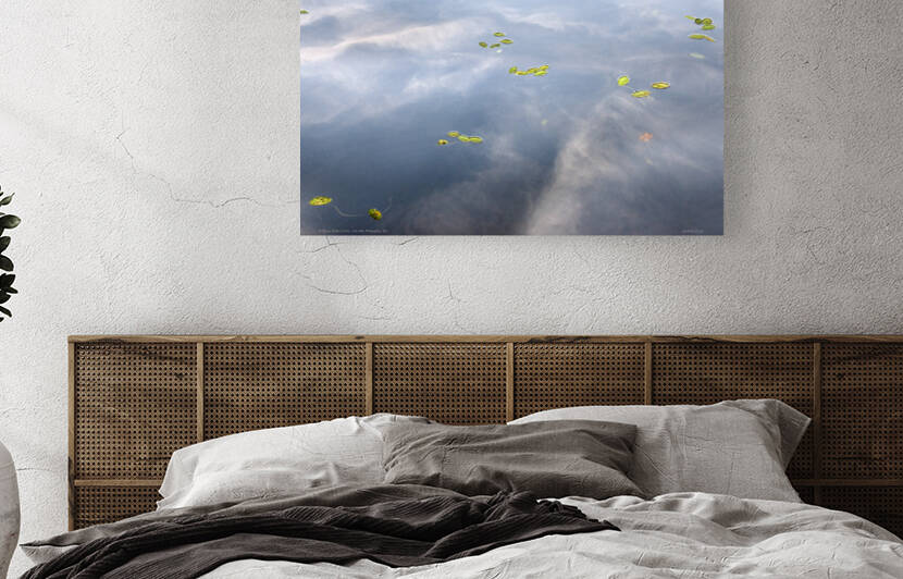 À fleur d eau XXX Lac des Français QC 2019 by Jean Grothe artiste photographe