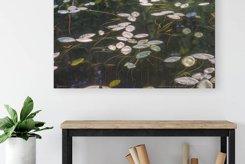 À fleur d eau XVIII Lac des Français QC 2017 by Jean Grothe artiste photographe