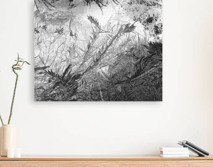 Lux obscura 2 XLI Coaticook QC 2011 by Jean Grothe artiste photographe