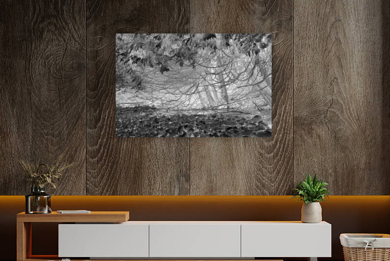 Lux obscura 2 XXV Coaticook QC 2012 by Jean Grothe artiste photographe