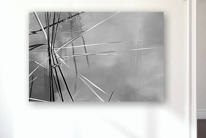 Autour de l étang II Stukely Sud QC 1999 by Jean Grothe artiste photographe