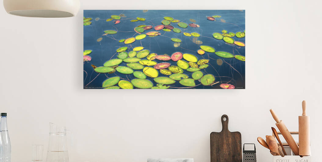 À fleur d eau XXXII Lac des Français QC 2018  by Jean Grothe artiste photographe