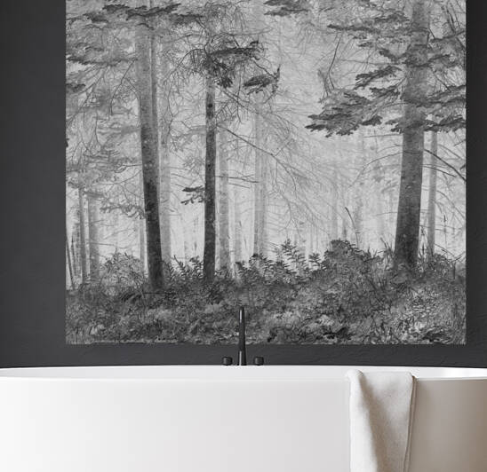 Lux obscura 2 IX Coaticook QC 2011 by Jean Grothe artiste photographe