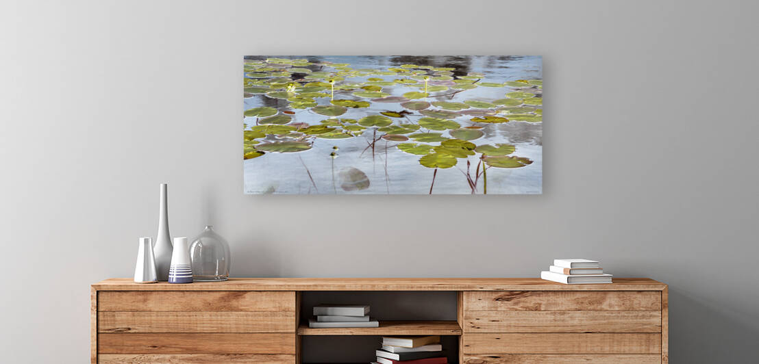 A fleur d eau XII Lac des Francais QC 2017 by Jean Grothe artiste photographe