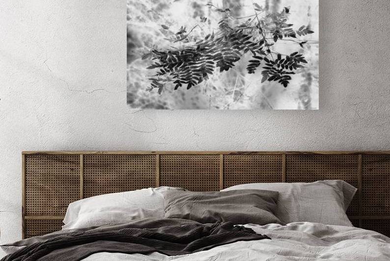 Lux obscura 1 XIII Cape Elizabeth ME 2007 by Jean Grothe artiste photographe