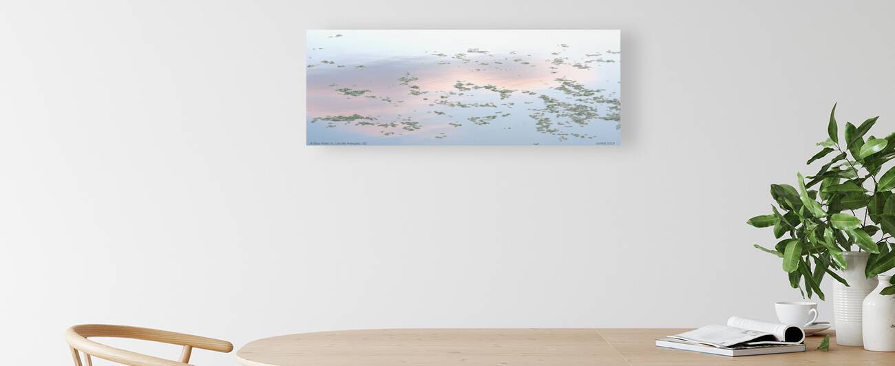 A fleur d eau XI Lac des Francais QC 2017  by Jean Grothe artiste photographe