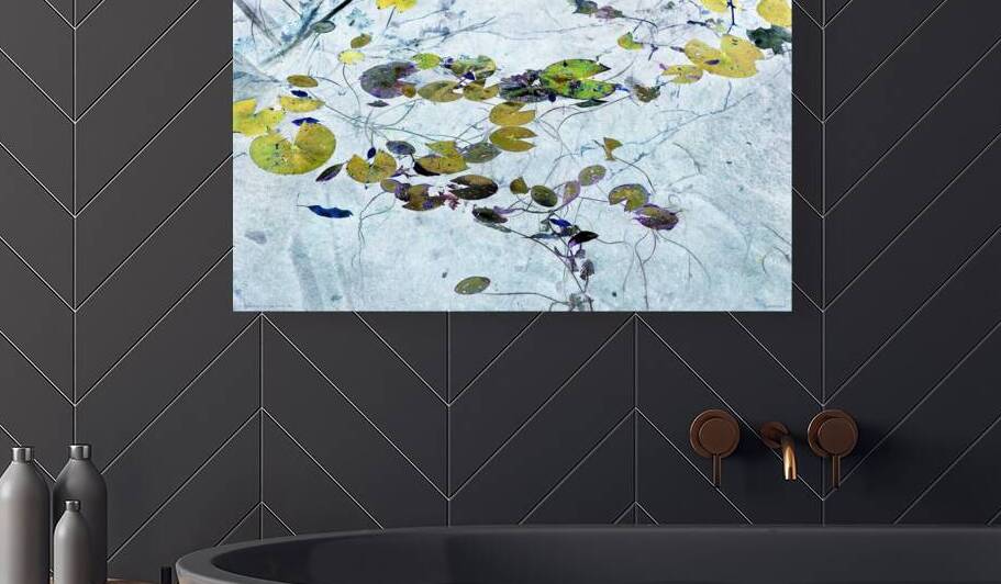 A fleur d eau V Lac Pilon QC 2014  by Jean Grothe artiste photographe