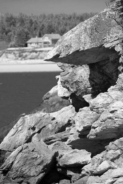 The Beauty of Nature Digital Download