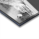 The Beauty of Nature Acrylic print