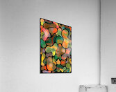 Chameleon Green Acrylic Print