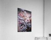 Flowers Acrylic Print