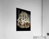 Gemstone Acrylic Print