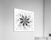 Dandelion Acrylic Print