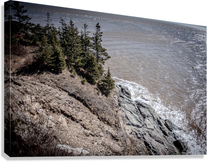 Cape Spencer New Brunswick Canvas Print