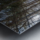 The Beauty of Nature Metal print