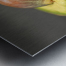 Avocado Metal print