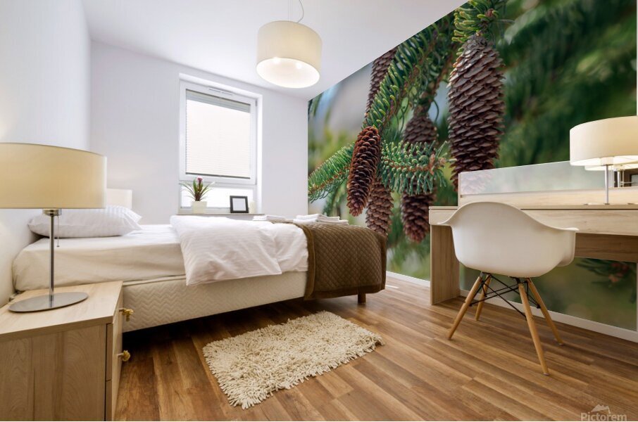 fir tree with cones 5 Mural print