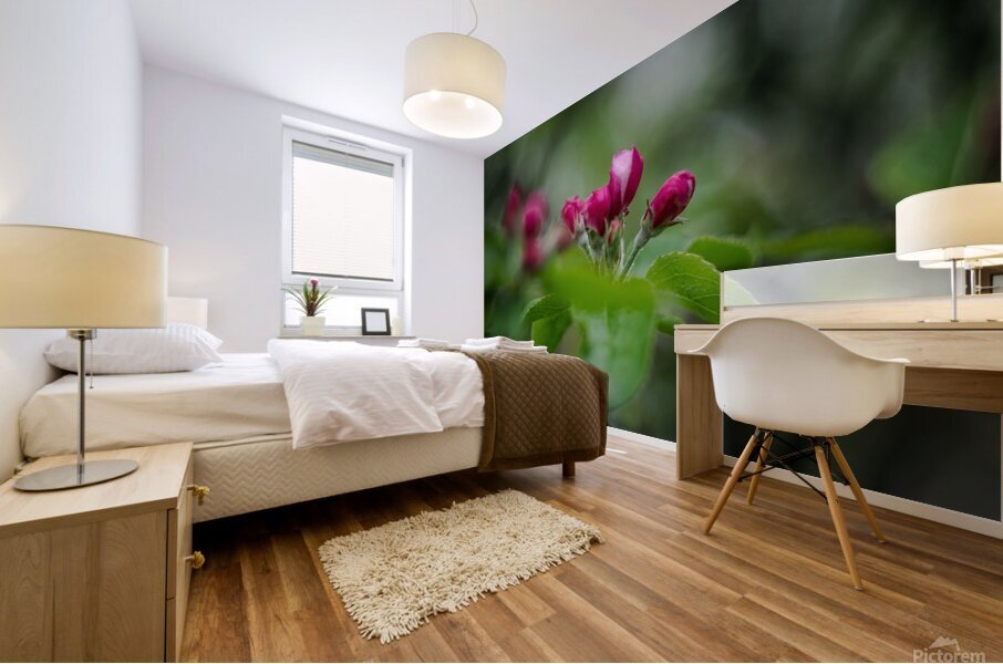 Flowers closeup Mural print