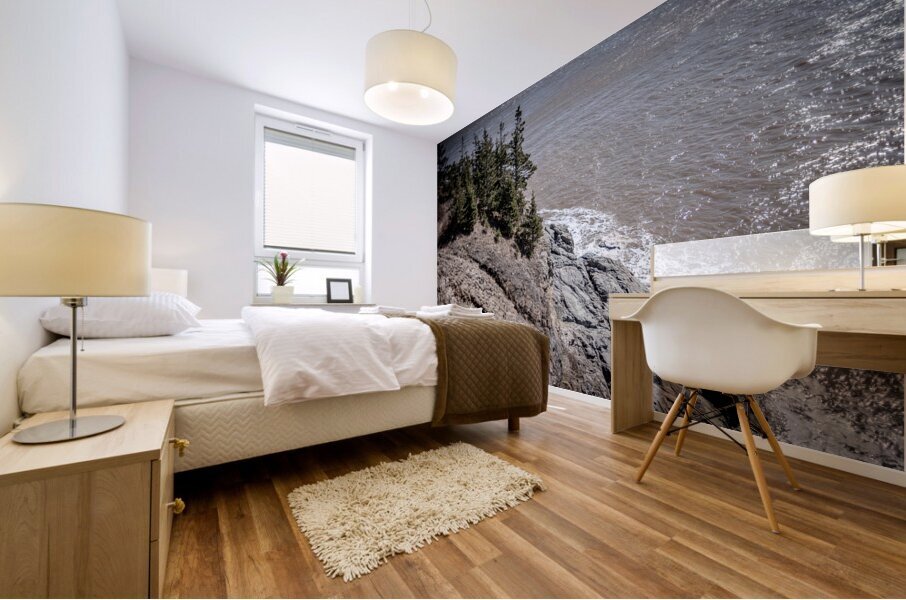 Cape Spencer New Brunswick Mural print