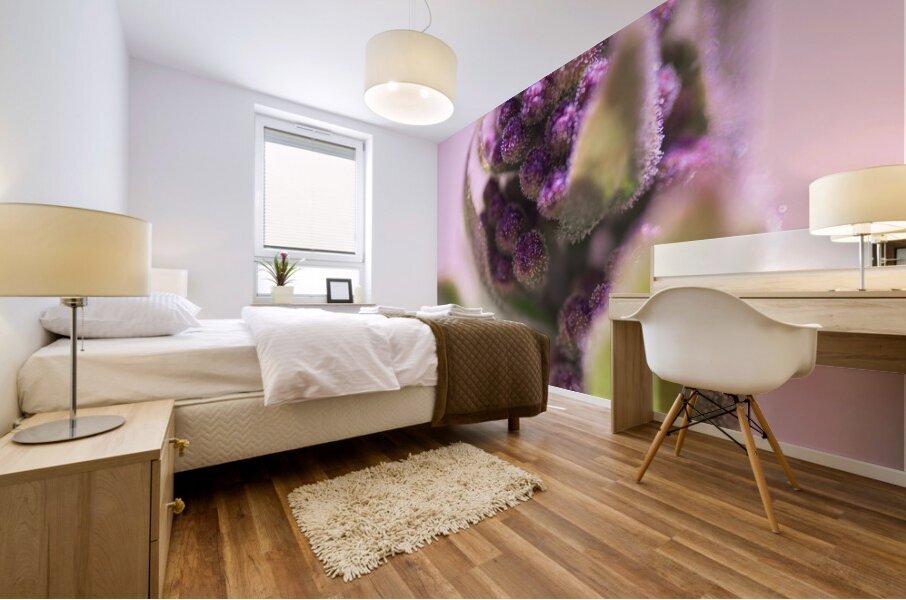 Sprout  Mural print