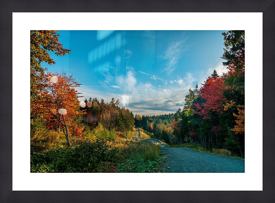 Red trees Autumn Picture Frame print