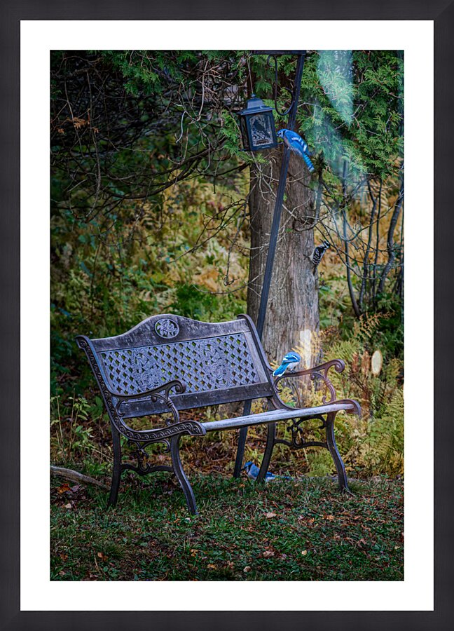 Blue Picture Frame print