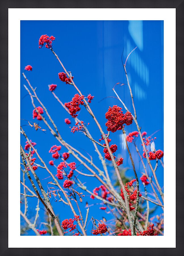 Blue 3 Picture Frame print