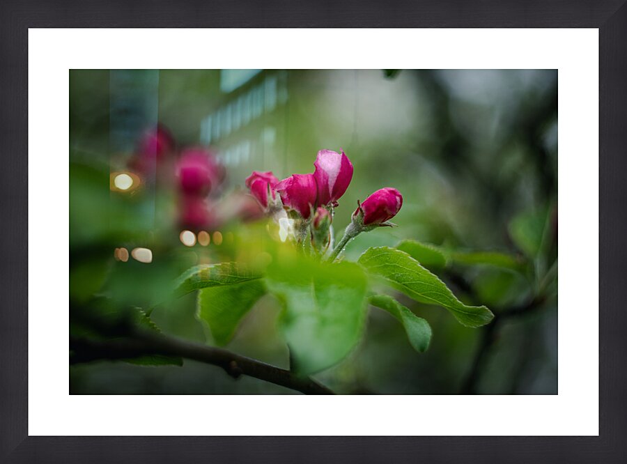 Flowers closeup Picture Frame print