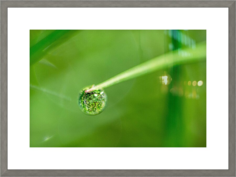 Drops Picture Frame print