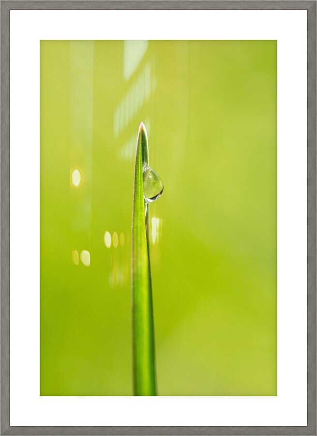 Drop Impression et Cadre photo