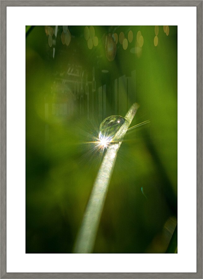 Drop Picture Frame print