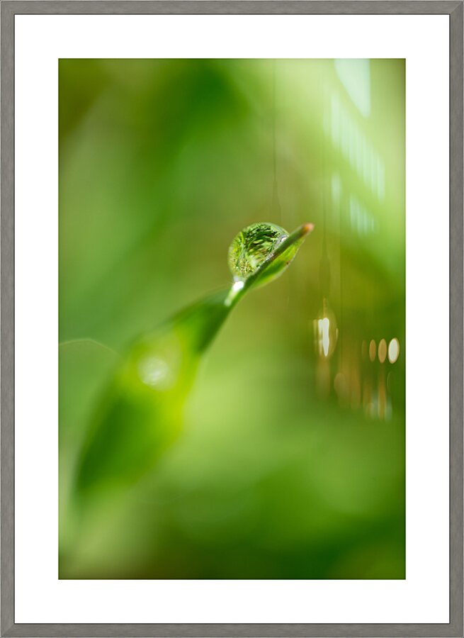 Water drop Picture Frame print