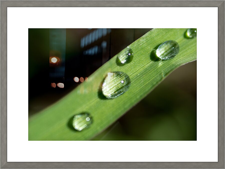 Drops Picture Frame print