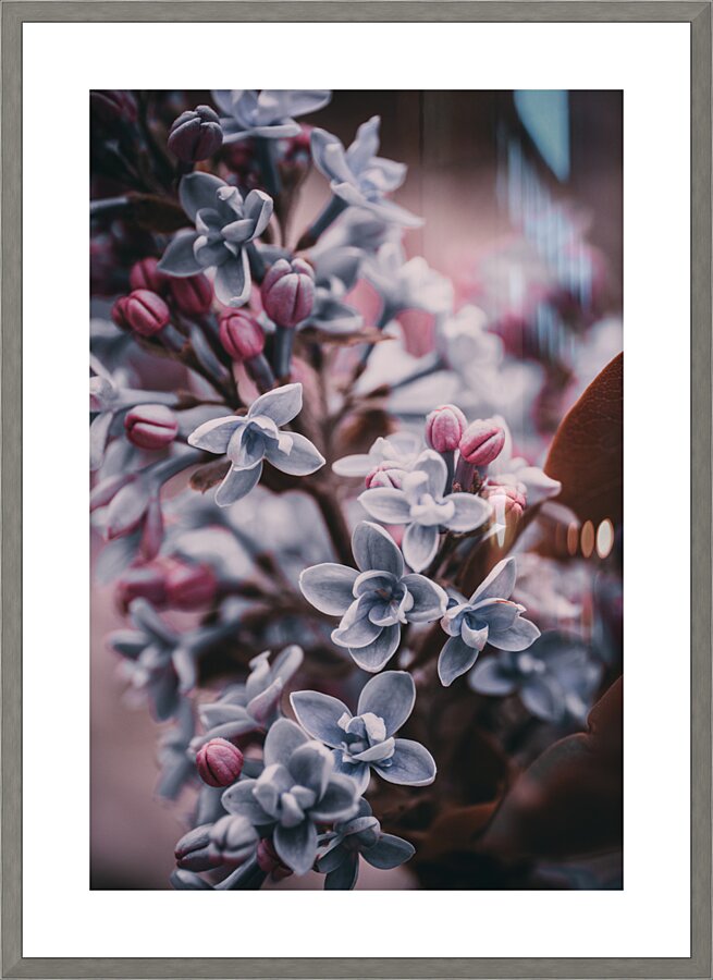 Flowers Picture Frame print